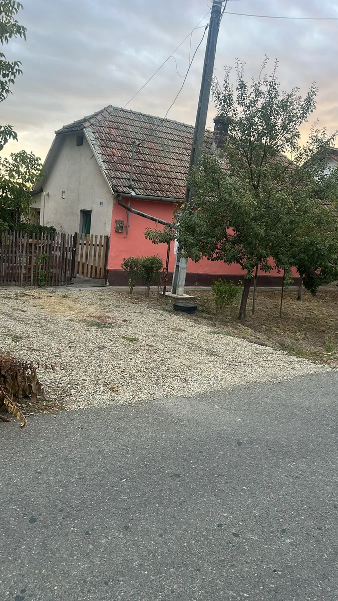 Vând proprietate cu potențial imobiliar